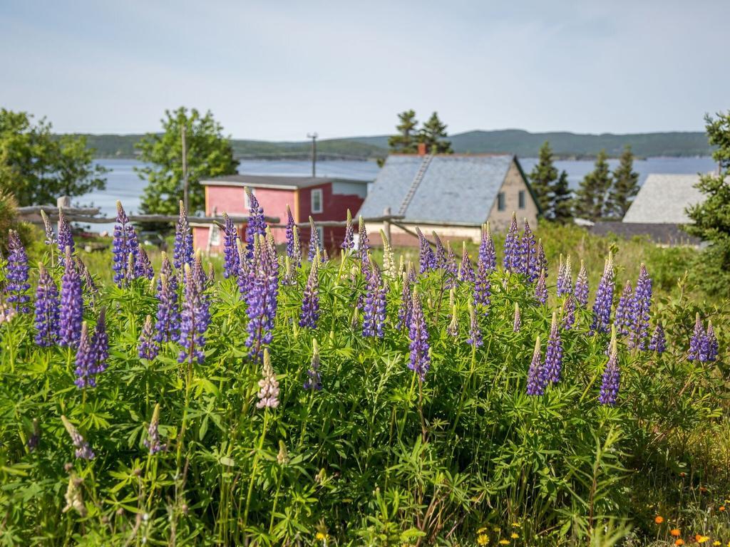 George House Heritage Bed And Breakfast Dildo Buitenkant foto